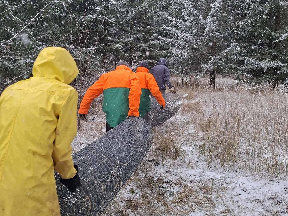 Gemeinsam für klimastabile Wälder – Meiningen und das Bergwaldprojekt